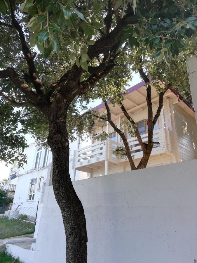 Seastar Eco Villa Utjeha Ngoại thất bức ảnh